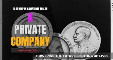 Southern California Edison: A Private Company?