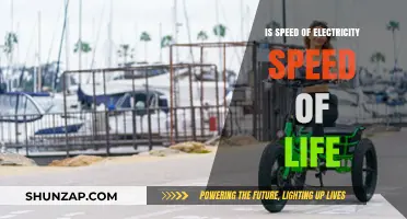 Electricity's Speed: Life's Pace?