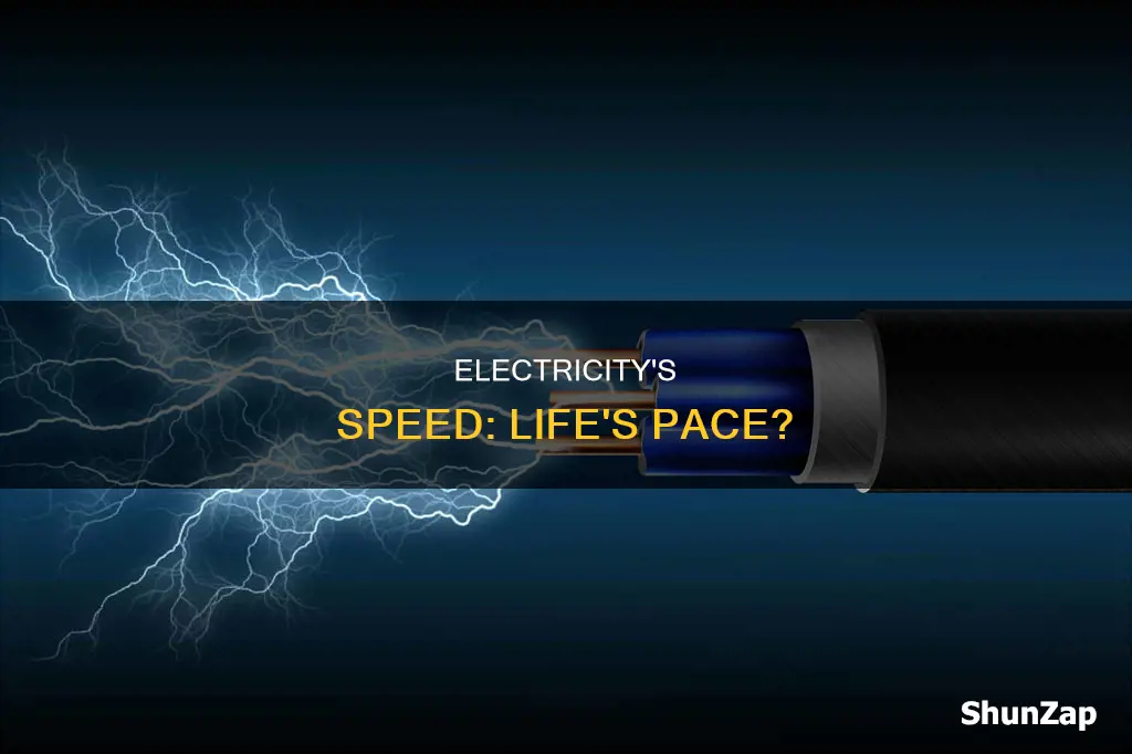 is speed of electricity speed of life