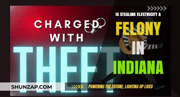 Electricity Theft: Indiana's Felony Laws and Penalties