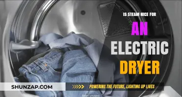 Steam and Electric Dryers: A Perfect Match?