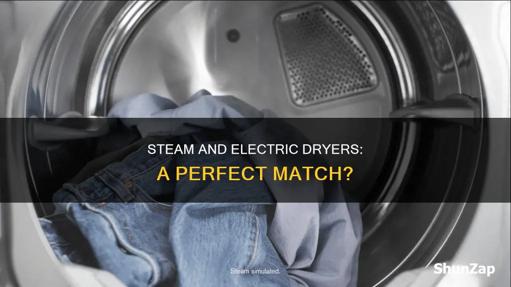 is steam nice for an electric dryer