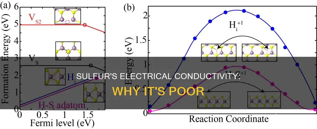 is sulfur a poor conductor of electricity