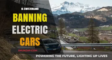 Switzerland's Electric Car Ban: Fact or Fiction? Exploring the Truth