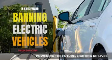 Switzerland's Electric Vehicle Future: Ban or Embrace?