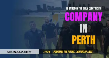 Electricity Options in Perth: Synergy and Beyond