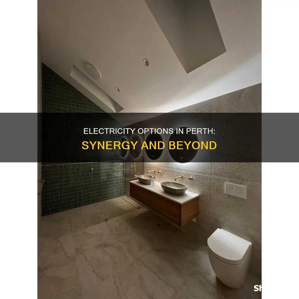 is synergy the only electricity company in perth