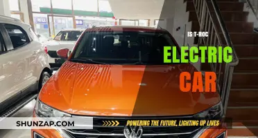Is the Volkswagen T-Roc Going Electric? What We Know So Far