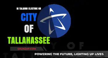 Talquin vs City of Tallahassee: Who Powers Your Home?