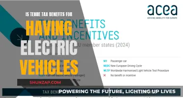 Tax Benefits for Electric Vehicles: A Green Investment