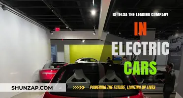 Is Tesla Still Dominating the Electric Car Market?
