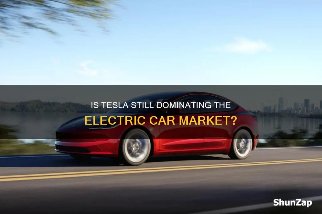 is telsa the leading company in electric cars