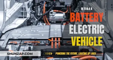Tesla's Electric Future: Powering the Battery Revolution