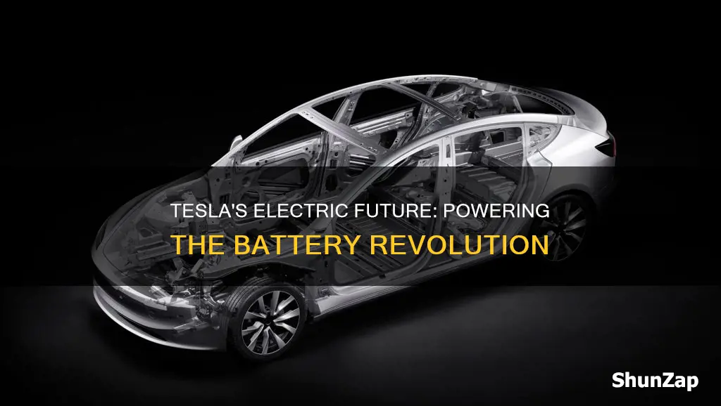 is tesla a battery electric vehicle