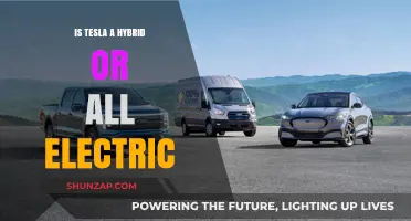 Tesla's Electric Future: Hybrid or All-Electric?