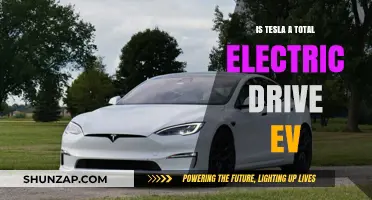 Tesla's Electric Drive: Pure EV Power