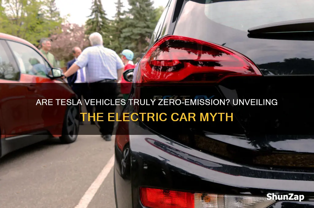 is tesla a zero-emission electric cars