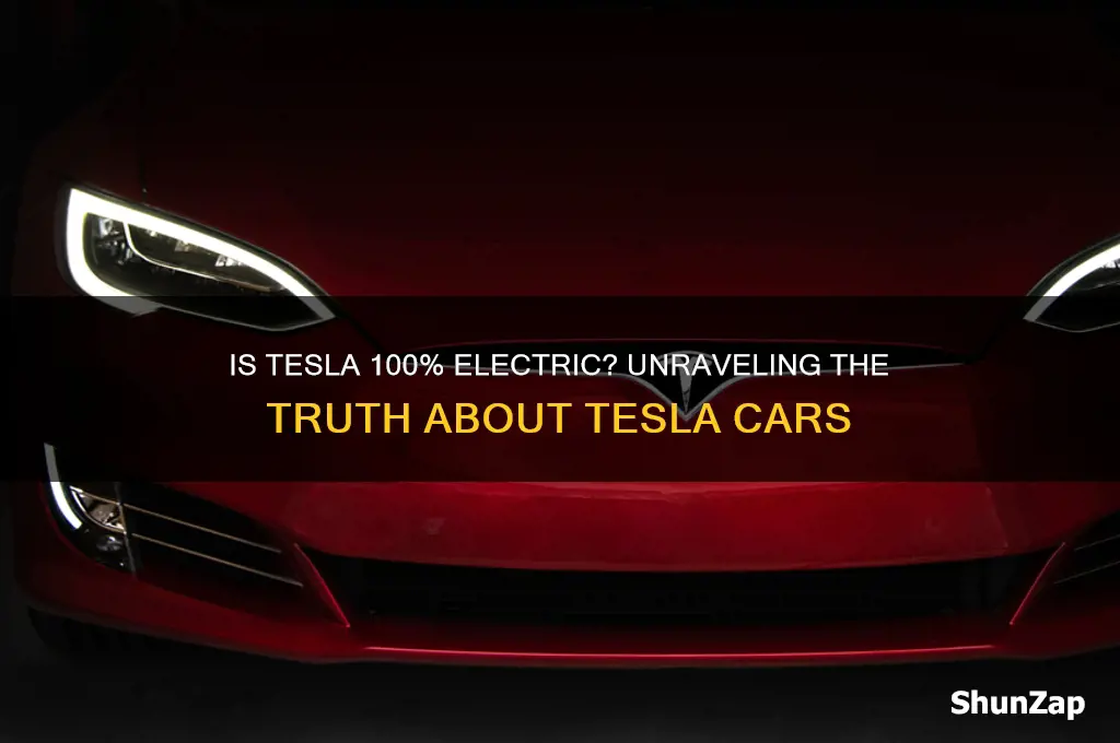 is tesla car 100 electric