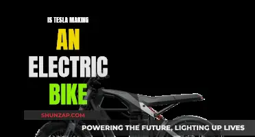 Tesla's Electric Bike: Is It Happening?