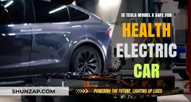 Is Tesla Model X a Healthy Electric Car Choice?