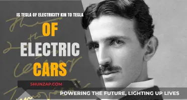 Nikola Tesla's Legacy: Electricity Pioneer Inspires Tesla's Electric Car Revolution