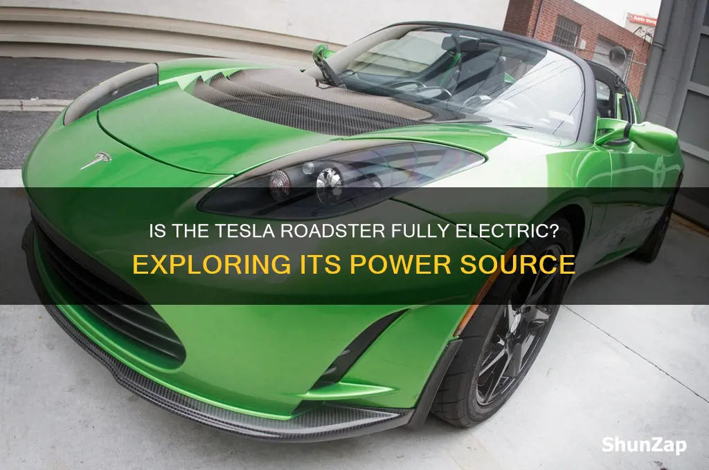 is tesla roadster an electric car