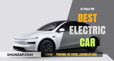 Is Tesla the Best Electric Car? Pros, Cons, and Alternatives