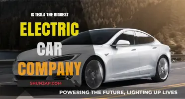 Is Tesla Still Dominating the Electric Car Market?