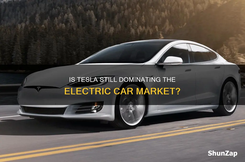 is tesla the biggest electric car company