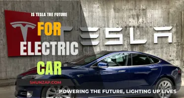 Is Tesla Shaping the Future of Electric Vehicles?
