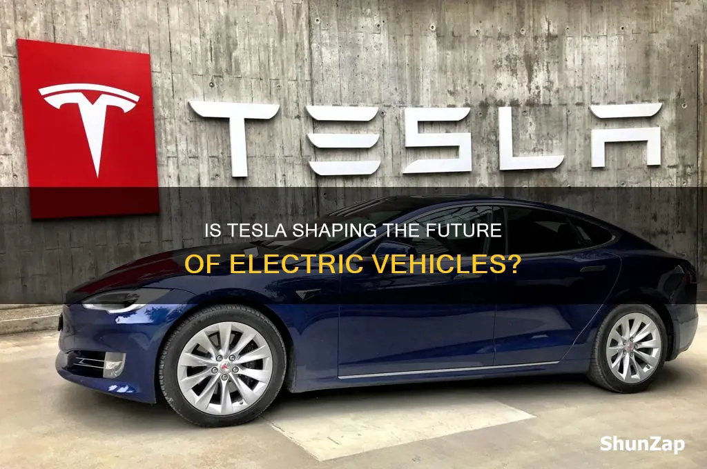 is tesla the future for electric car