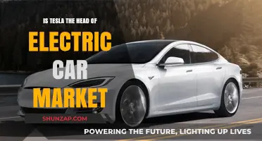 Is Tesla Still Dominating the Electric Car Market?