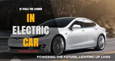 Is Tesla Still Dominating the Electric Car Market? A Deep Dive