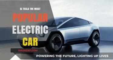 Is Tesla the Most Popular Electric Car? A Comprehensive Analysis