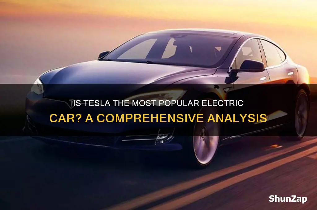 is tesla the most popular electric car