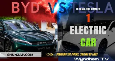 Is Tesla Still the Top Electric Car Choice in 2023?