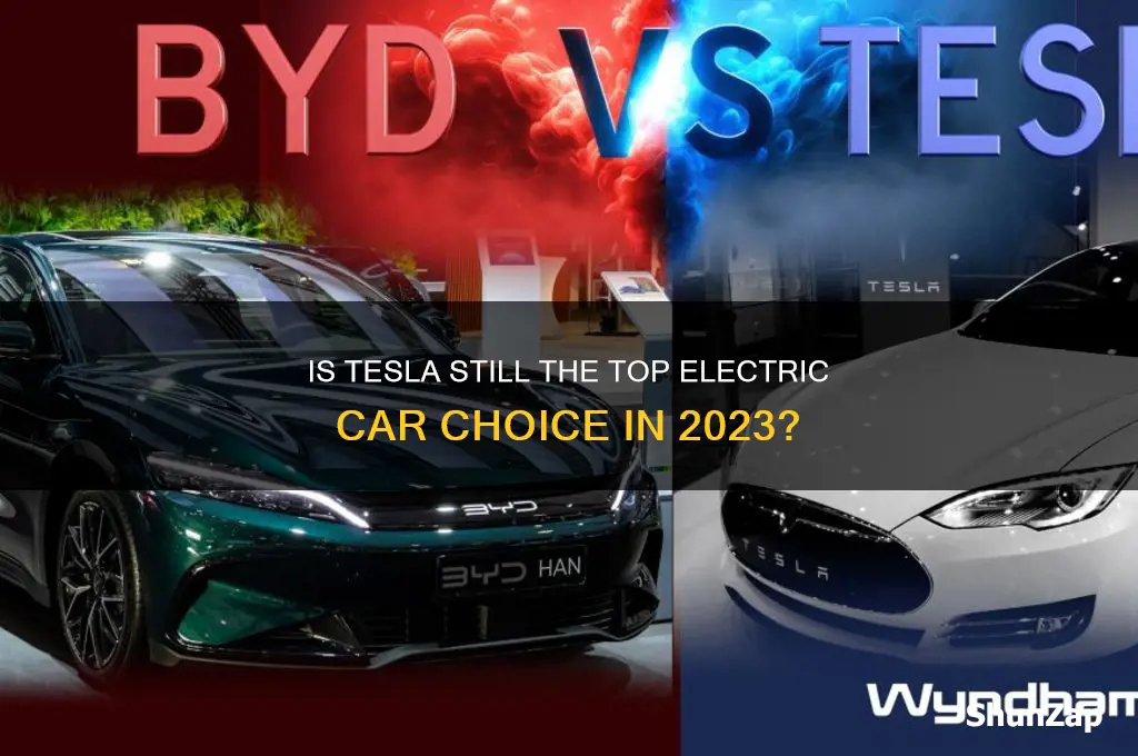 is tesla the number 1 electric car