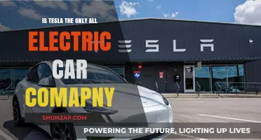 Beyond Tesla: Exploring the Growing All-Electric Car Market