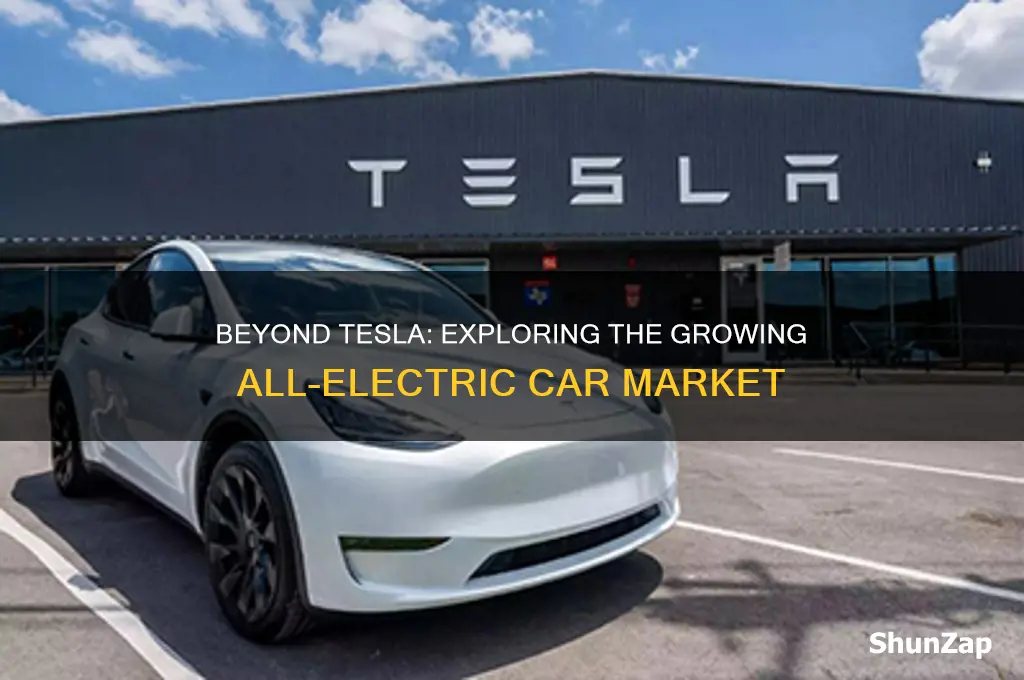 is tesla the only all electric car comapny