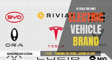 Tesla Dominance: Exploring the Electric Vehicle Landscape Beyond the Brand