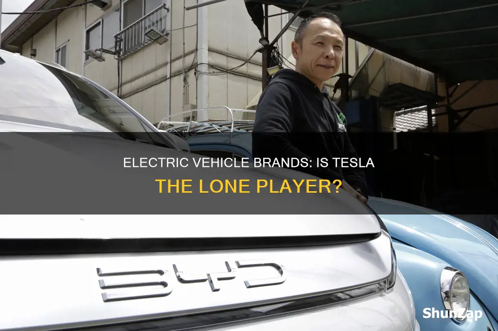 is tesla the only electric vehicle brand