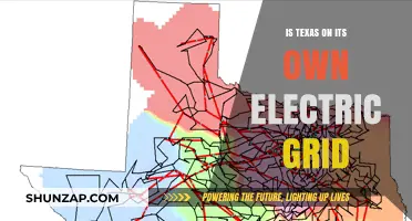 Electric Grid Independence: Texas' Lone Star Power