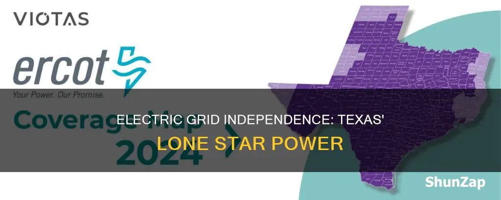 is texas on its own electric grid