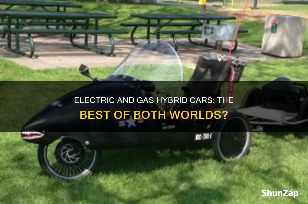 is the a car that runs on electric and gas