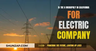 Electric Company Monopoly in California: Who's in Control?