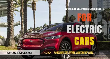 California Electric Car Rebates: What You Need to Know