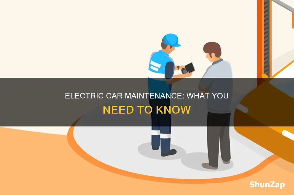 is the any maintenance for electric car