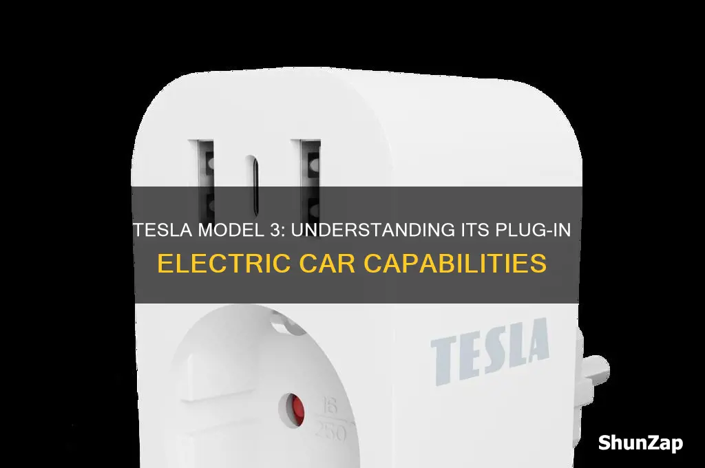 is the car tesla model 3 a plug-in electric car