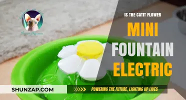 Catit Flower Mini Fountain: Electric or Not?