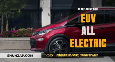 The Chevy Bolt EUV: Electric Power, Electric Fun